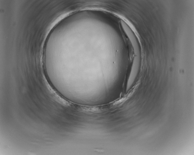 X0000083620957200703051606