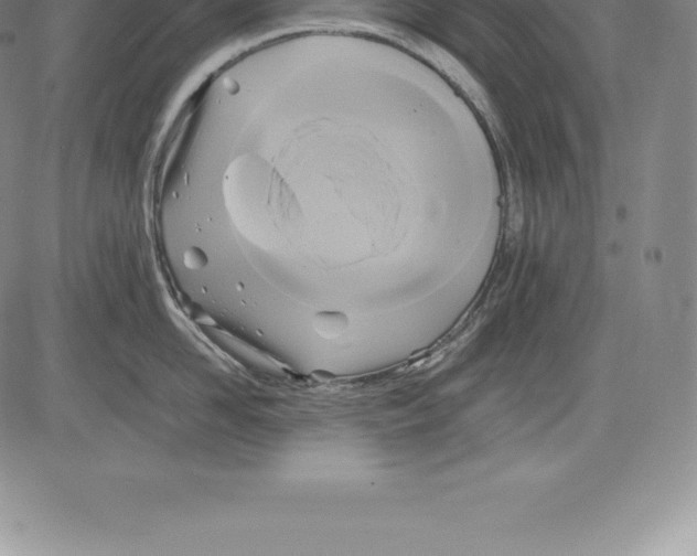 X0000083620958200703051606