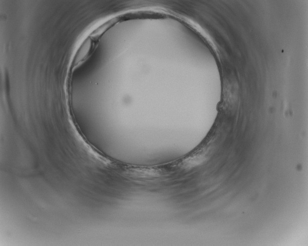 X0000083620959200703051606