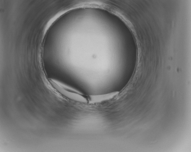 X0000083620960200703051606