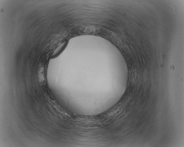 X0000083620962200703051605