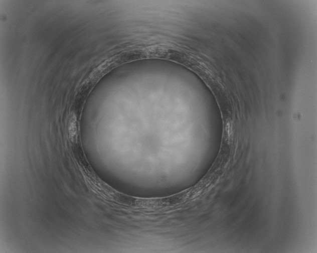 X0000083620963200703051605