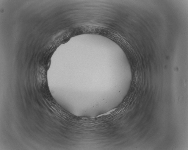 X0000083620964200703051605