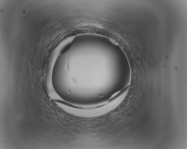 X0000083620965200703051605