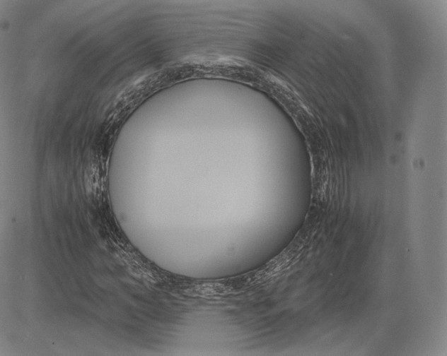 X0000083620966200703051605