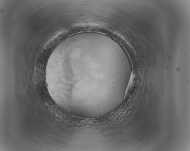 X0000083620967200703051605