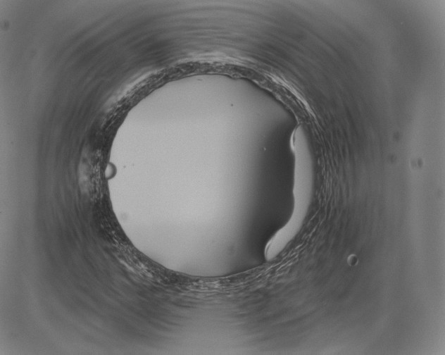 X0000083620968200703051605