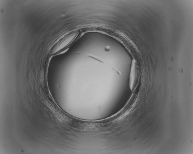 X0000083620969200703051605