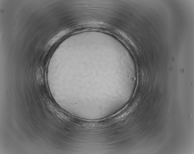 X0000083620970200703051605