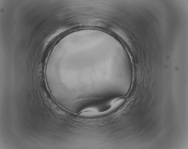 X0000083620971200703051605