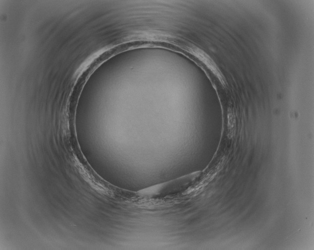 X0000083620972200703051605