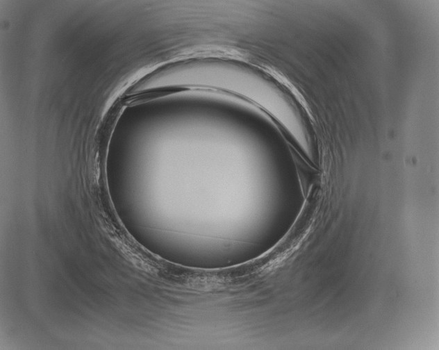 X0000083620973200703051605