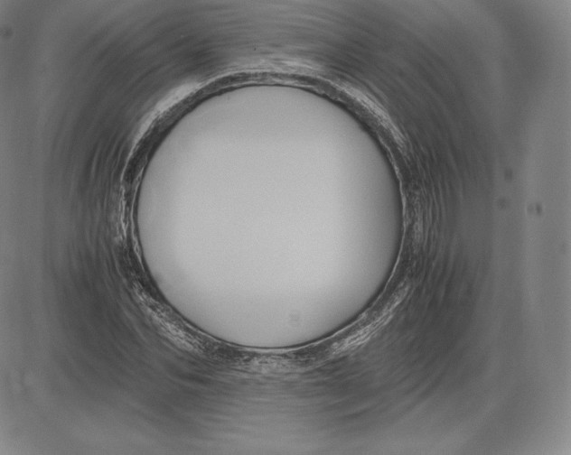 X0000083620974200703051605