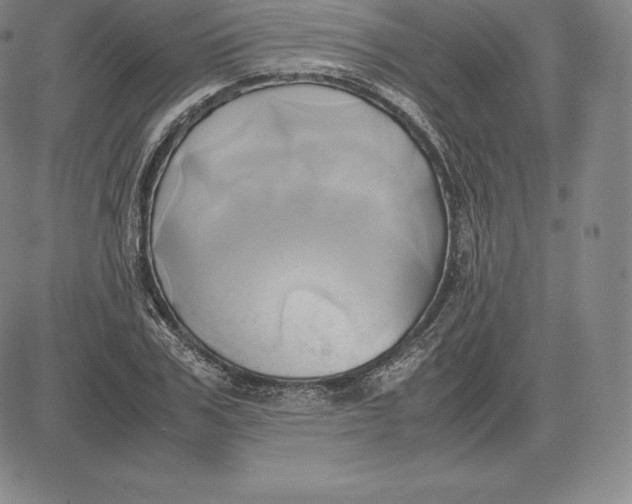 X0000083620979200703051605