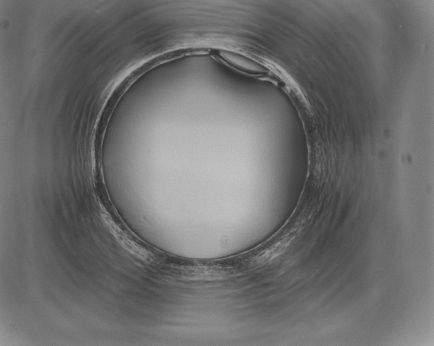 X0000083620980200703051605