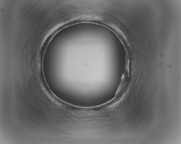 X0000083620981200703051605