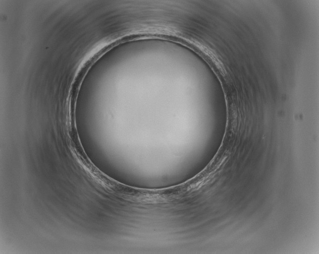 X0000083620982200703051605