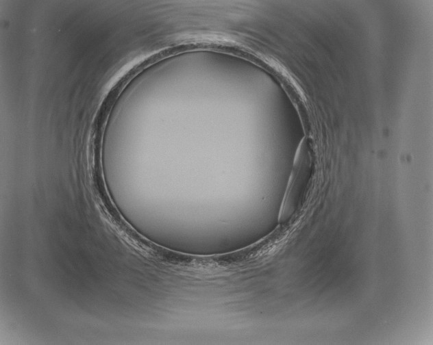 X0000083620983200703051605