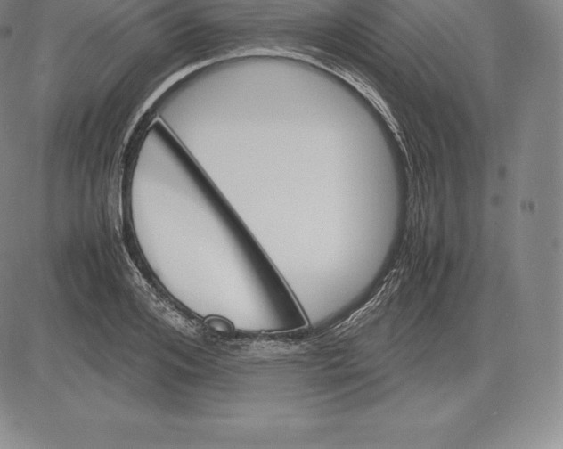 X0000083620984200703051605