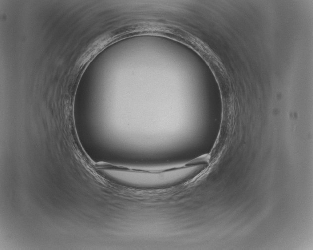 X0000083620985200703051605