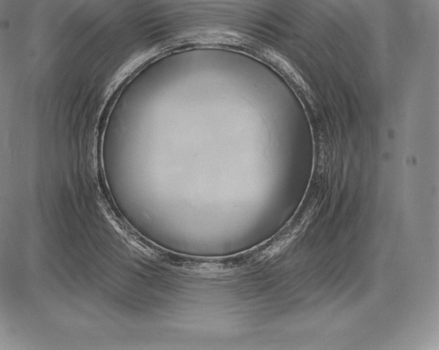 X0000083620986200703051605