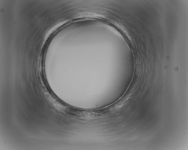 X0000083620987200703051605