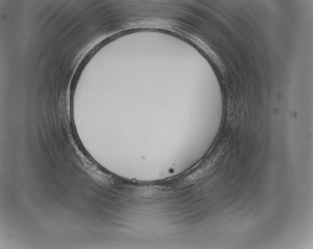 X0000083620988200703051605