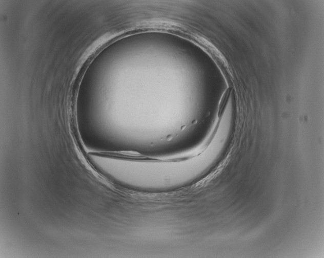 X0000083620989200703051605