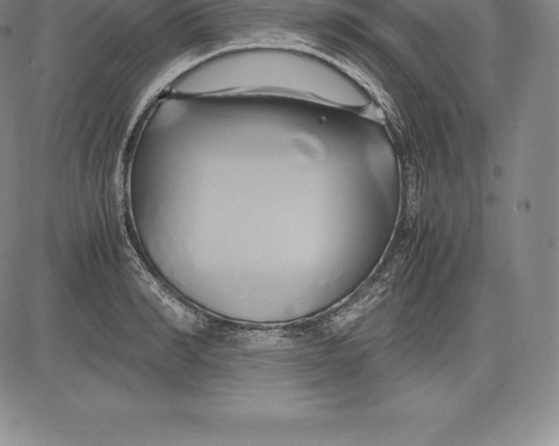 X0000083620990200703051605