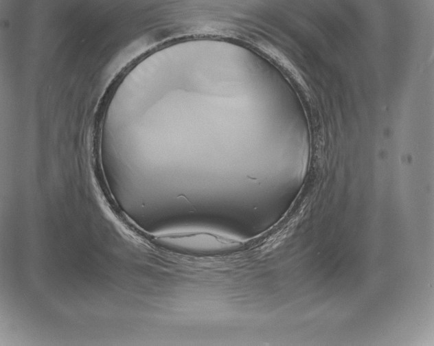 X0000083620991200703051605