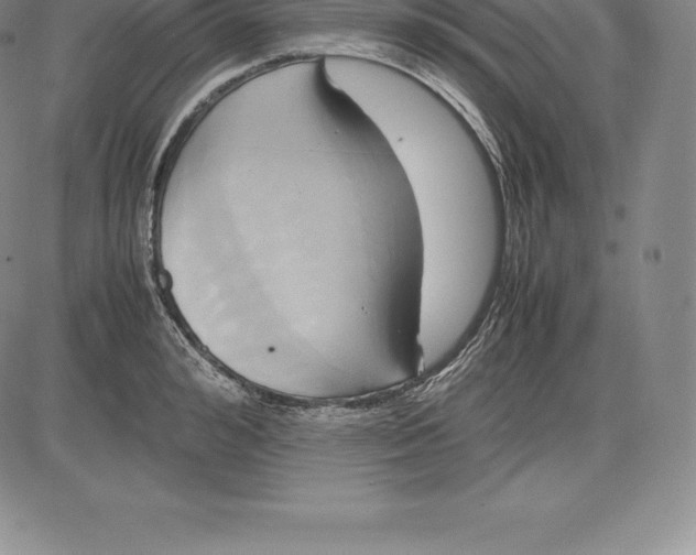 X0000083620992200703051605