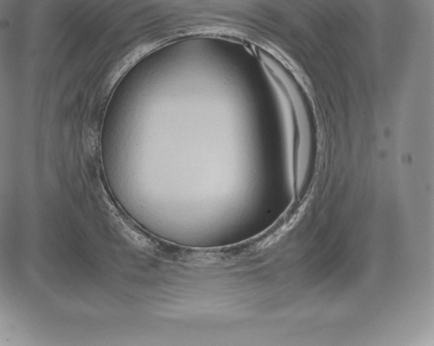 X0000083620993200703051605