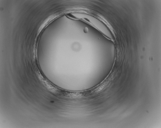 X0000083620994200703051605