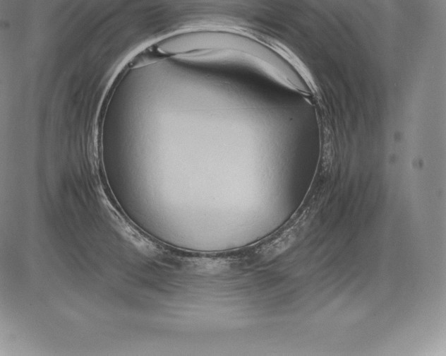 X0000083620996200703051604