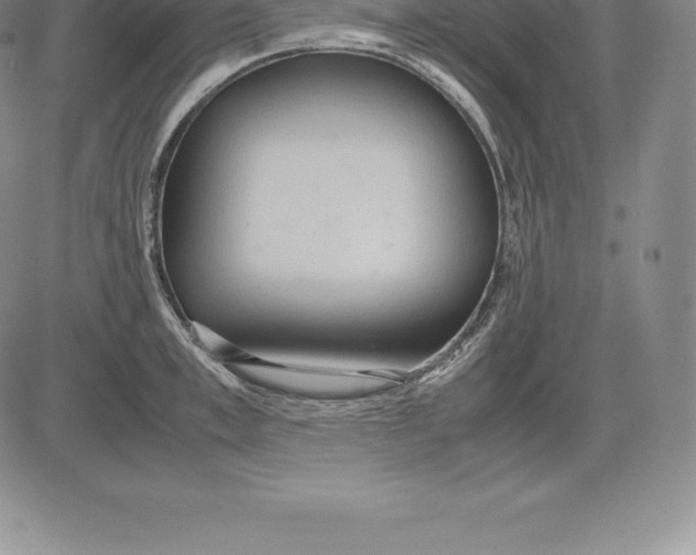 X0000083620997200703051604