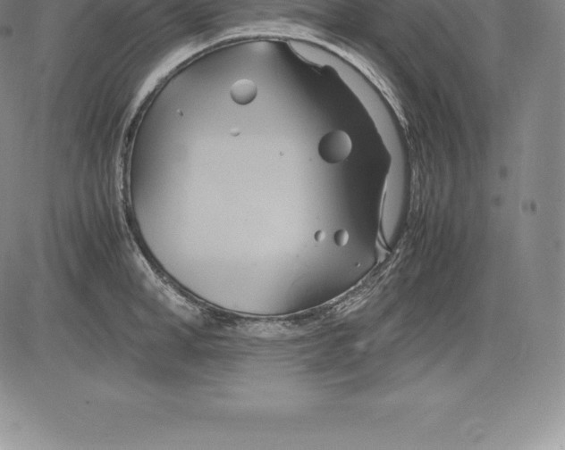 X0000083620998200703051604