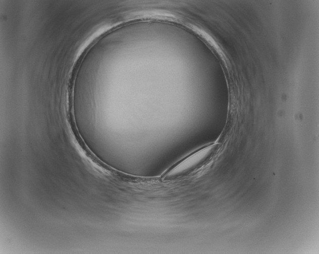 X0000083620999200703051604