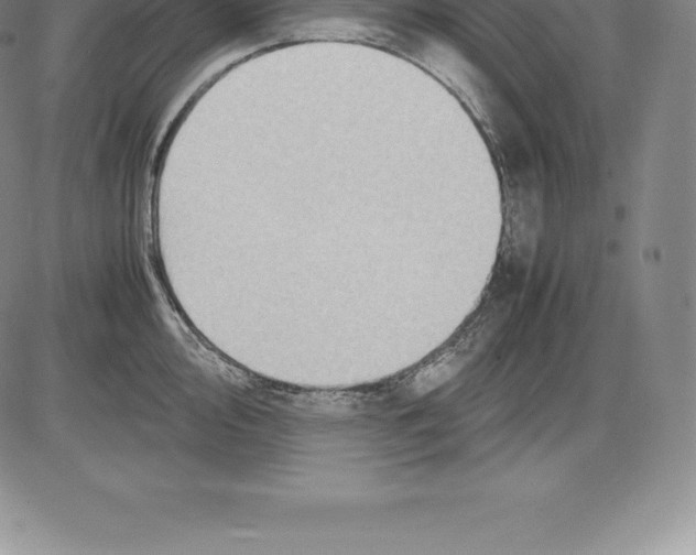 X0000083621000200703051604