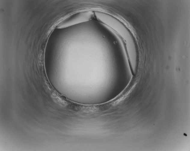 X0000083621001200703051604