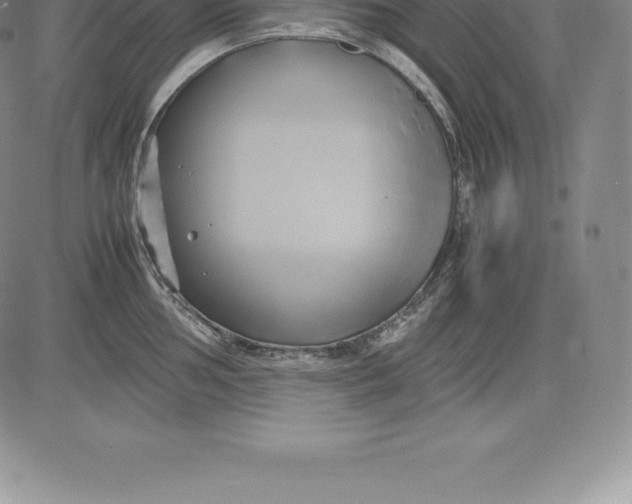 X0000083621002200703051604