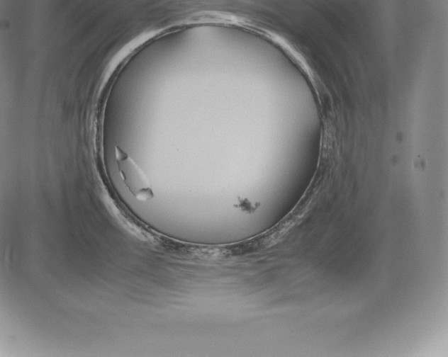 X0000083621003200703051604