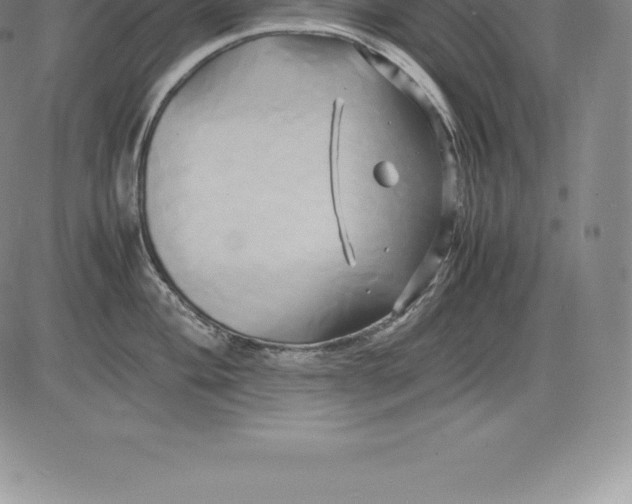 X0000083621004200703051604