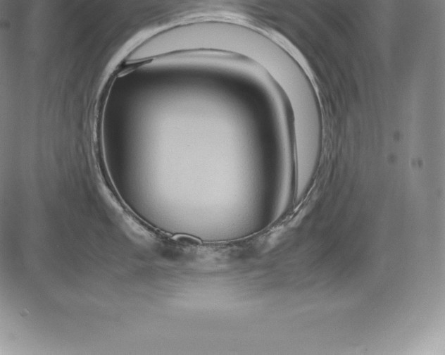 X0000083621005200703051604