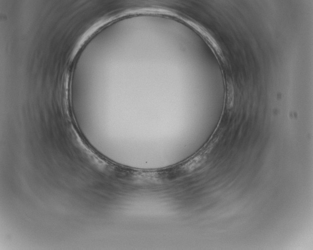 X0000083621006200703051604