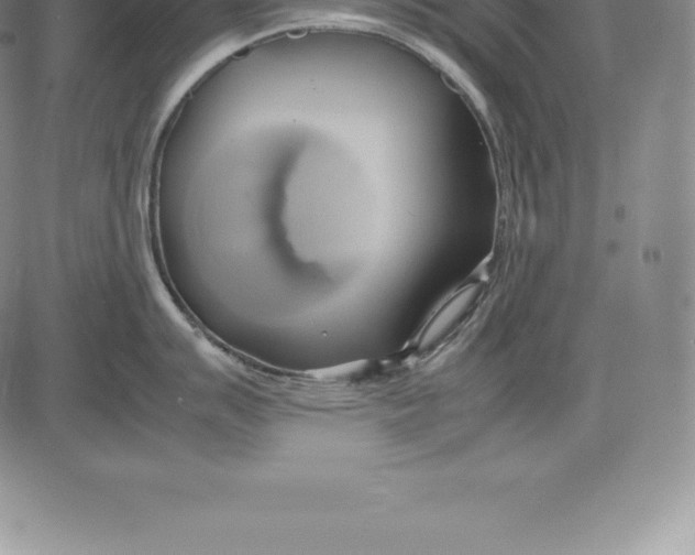 X0000083621007200703051604