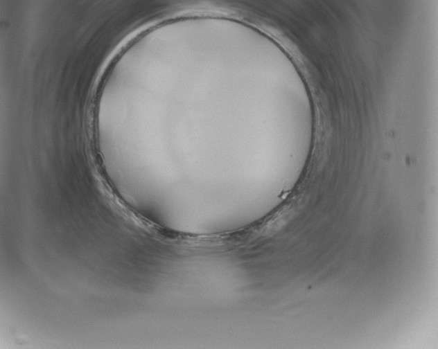 X0000083621008200703051604