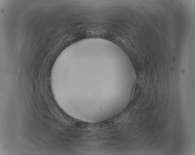 X0000083621009200703051603