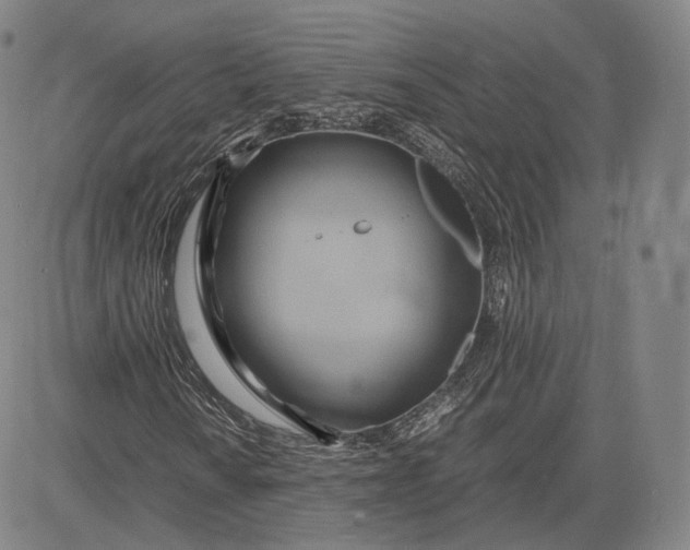 X0000083621010200703051604