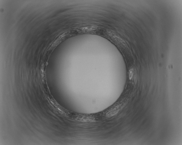 X0000083621011200703051604