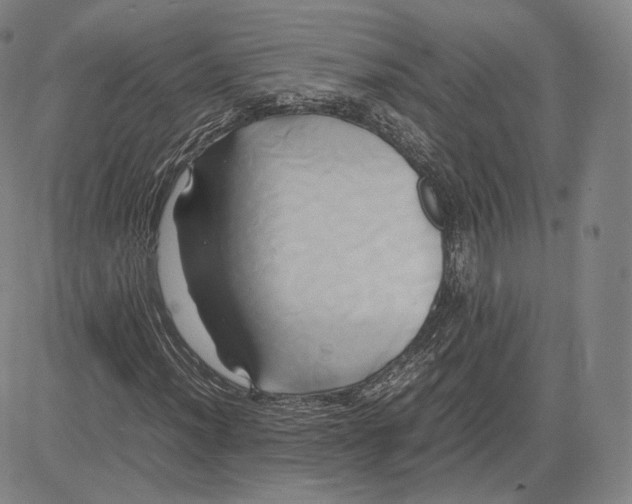 X0000083621012200703051604